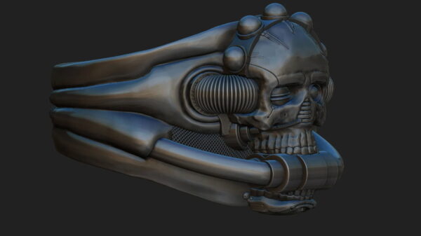 Skull Ring 3D-print model file- pic- 1