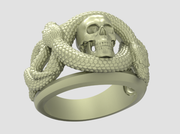 Skull Ring-5 3D-print model file- pic- 1