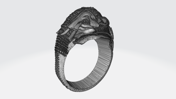 Elephant Ring 3Dprint File - Image 11