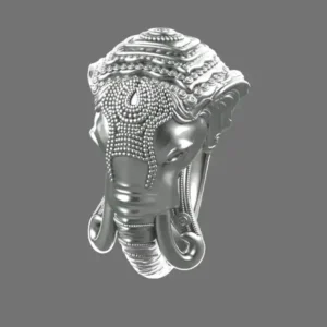 Elephant Ring 3Dprint File-2- pic- 1